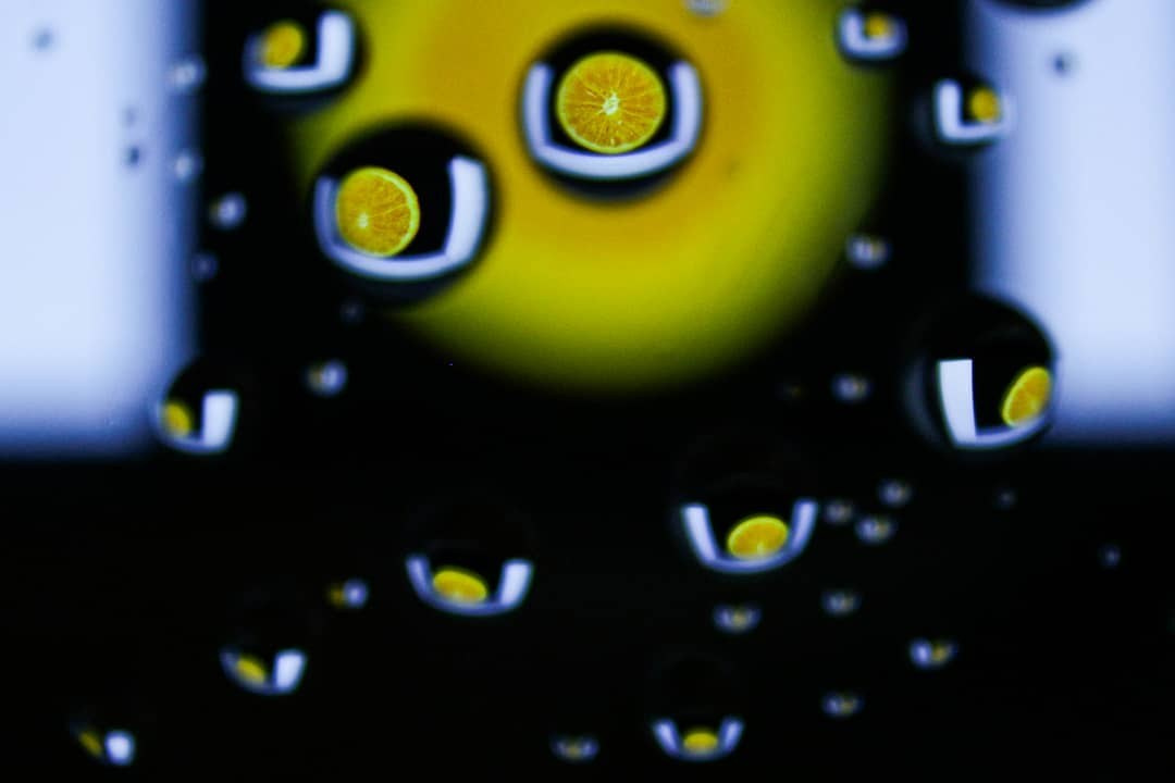 Курс «С нуля»