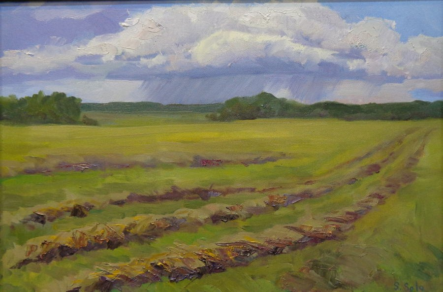 Светлана Соло Орлова. Галерея участников Российской Премии Искусств