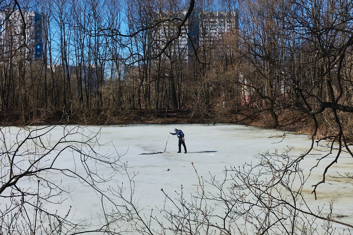Дневной Сон. Иван Кобяков