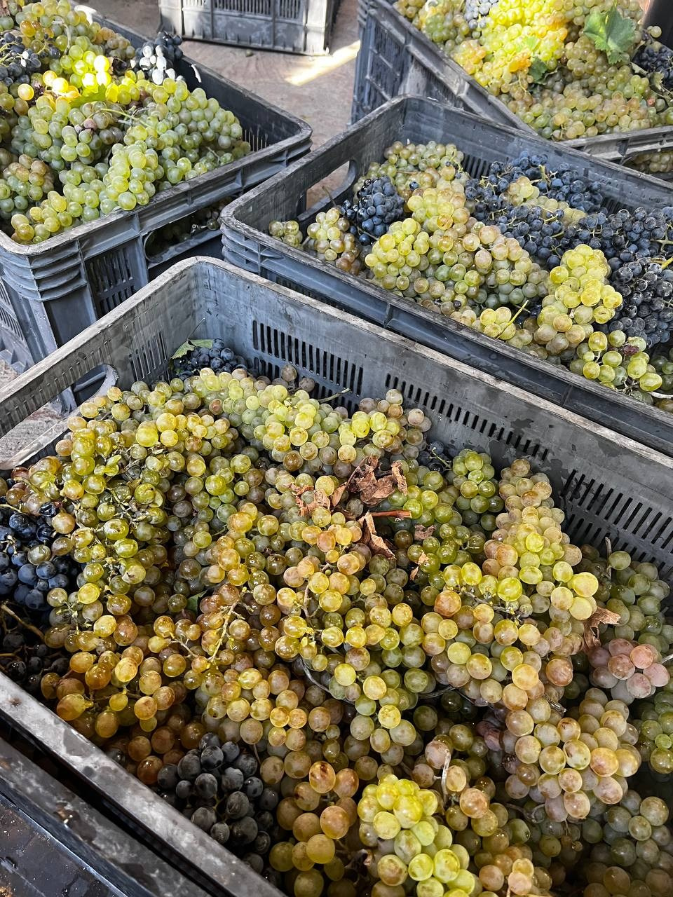 Интересные места Кахетии