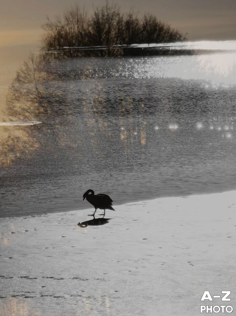 #ФОТОНЕДЕЛИ 16.03.2026. Женский семейный фотограф Тула Москва Захарова Анна