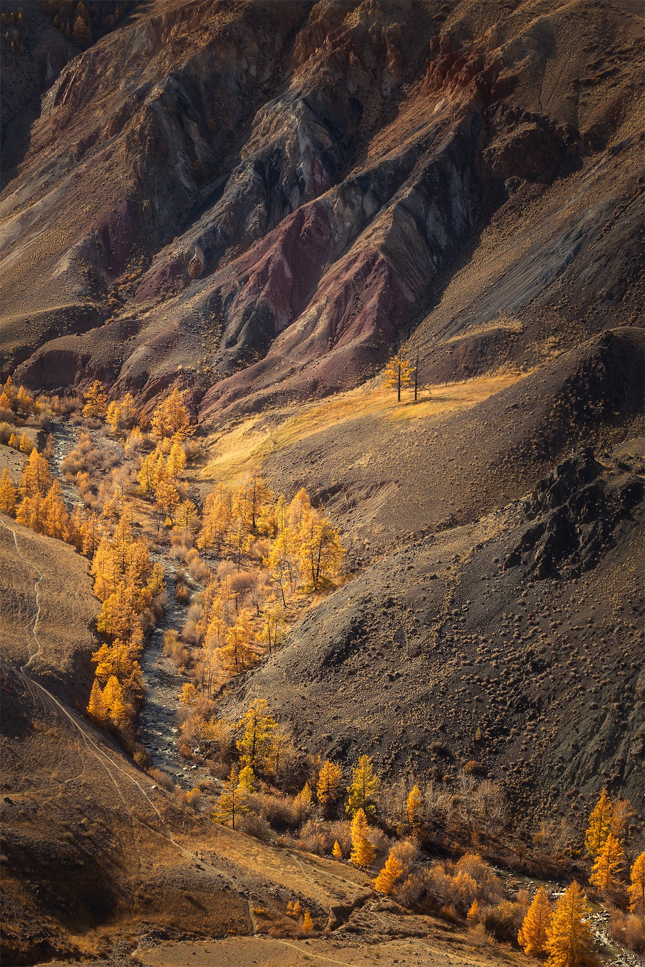 Пейзаж. Вадим Кононенко — outdoor creating