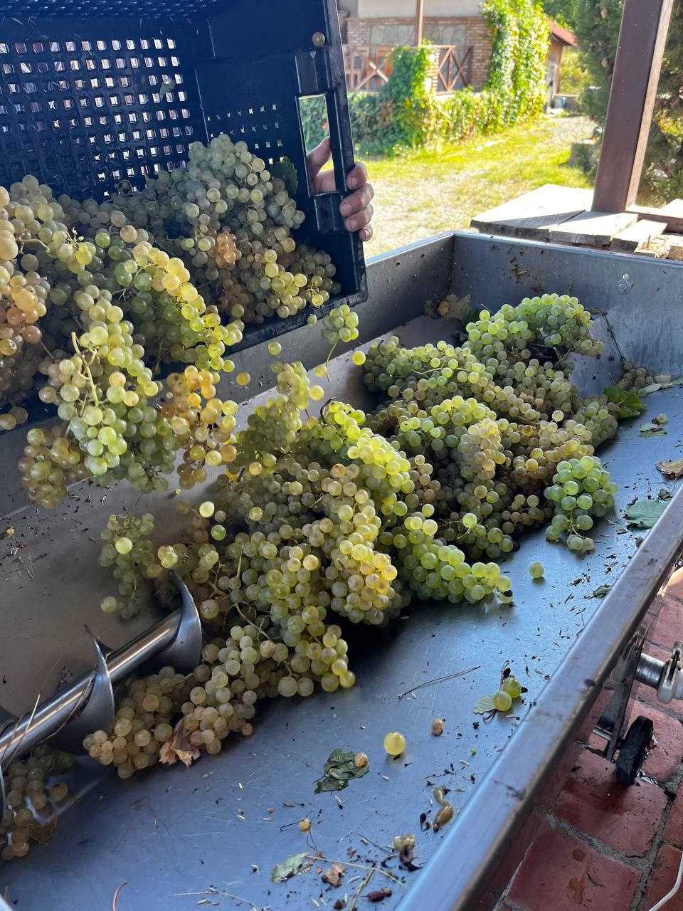 Интересные места Кахетии