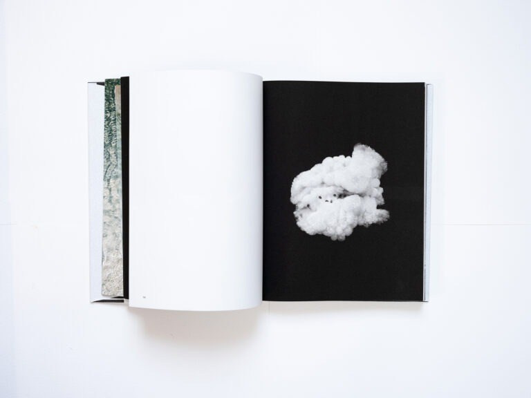 ИНТЕРВЬЮ С АВТОРАМИ: MOE SUZUKI. Самоорганизация Низина