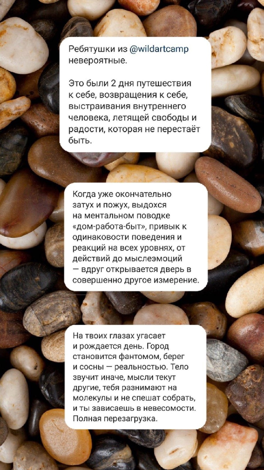 Отзывы на творческий лагерь для взрослых в Карелии вайлдарткэмп