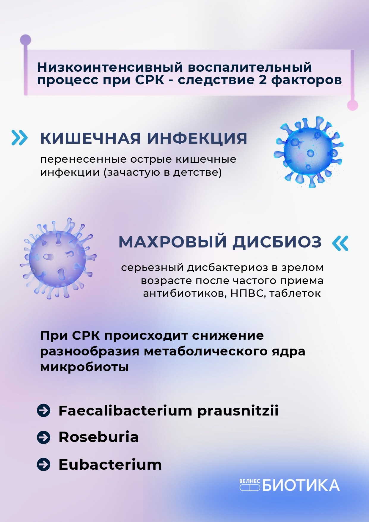 ВедаБиотика. Медицина с душой