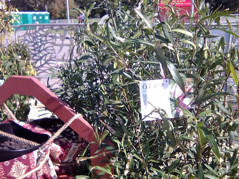 ВНИМАНИЕ! ФЕСТИВАЛЬ ЛАНДШАФТНОГО СТРОИТЕЛЬСТВА. 俄罗斯设计估算