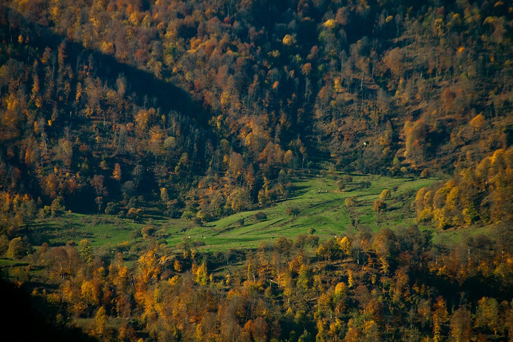 Осенняя Армения 2026 | Фотограф Дмитрий Купрацевич. Дмитрий Купрацевич профессиональный пейзажный и travel-фотограф