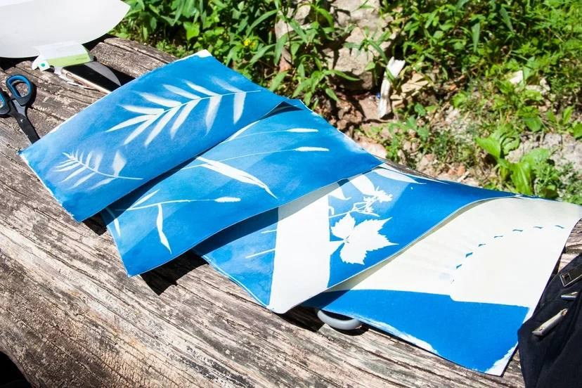 МК по дикой цианотипии, 20 августа 2023, Ростов-на-Дону. Лера Круглова