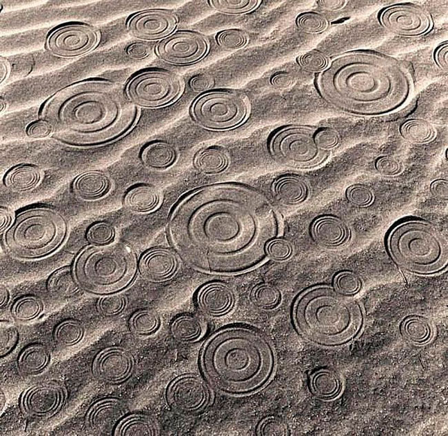 Ритм в фотографиях