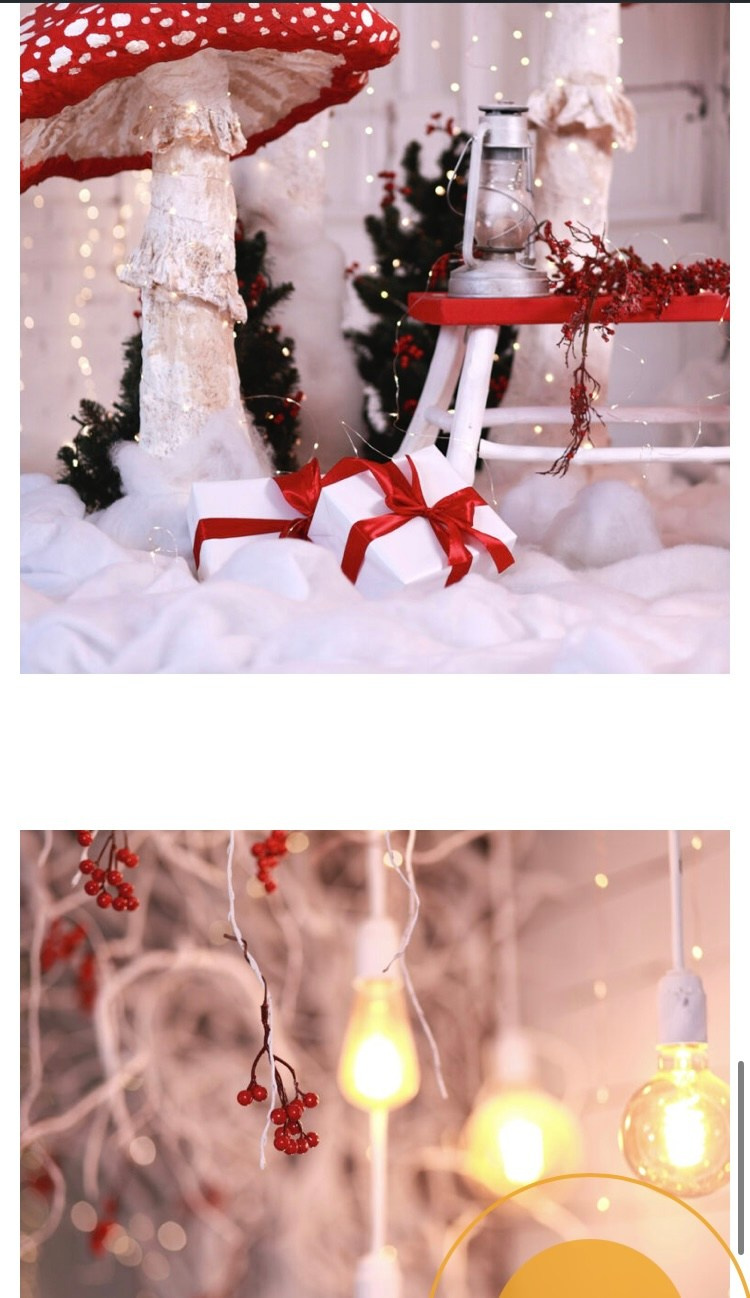 Новый год. Фотограф Беременности в Краснодаре Кара Артисан