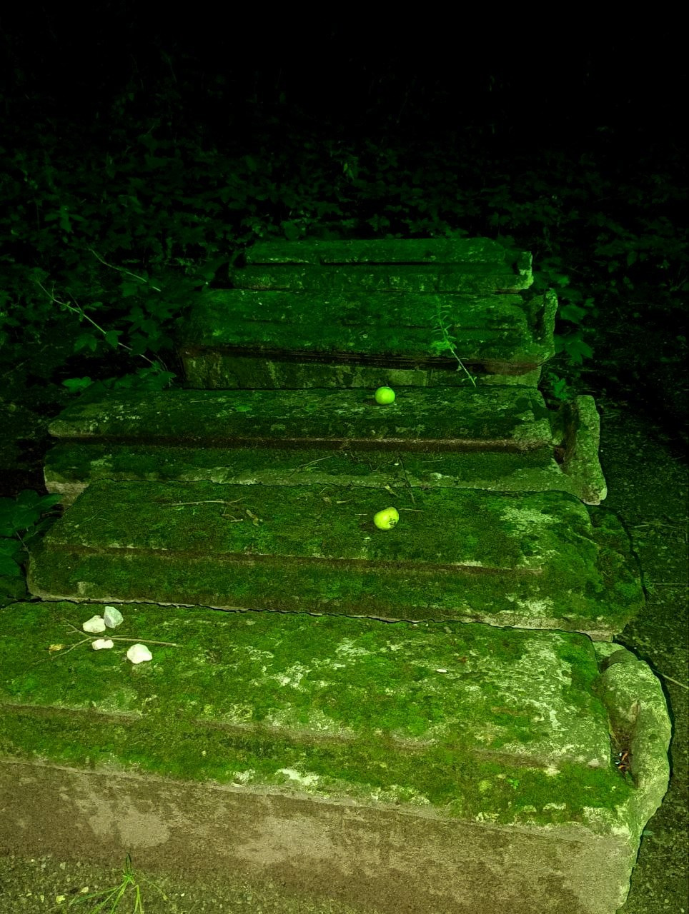 Елена Чернышова — Пираты воображения