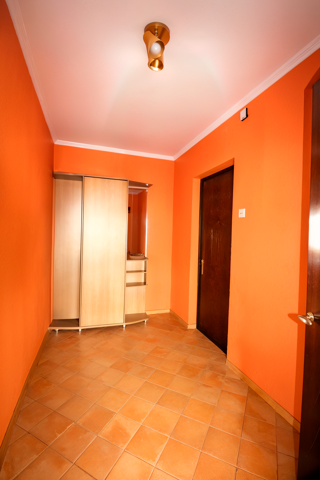 Улучшение визуала. МЕТАМОРФОЗЕР — пространство визуальных решений для бизнеса