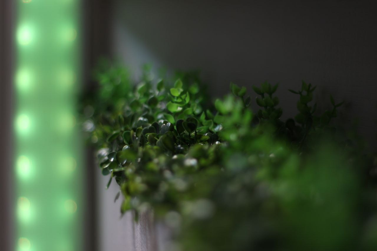 Центр Красоты Души и Тела «Амарант»