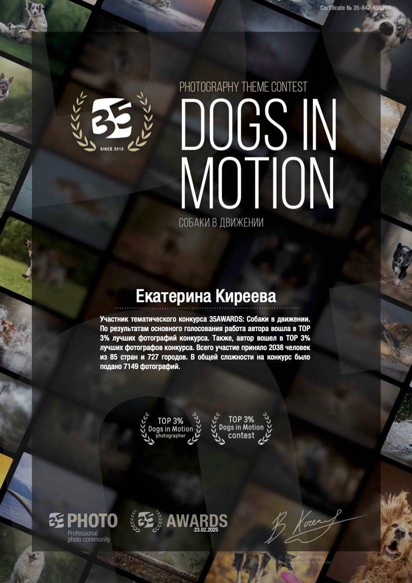 Семейный фотограф животных, анималист в Москве Екатерина Киреева