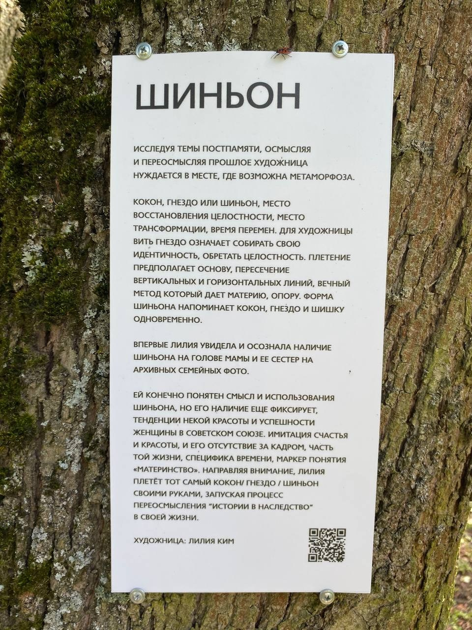 Парк Шиньонов. Лилия Ким. Междисциплинарный художник