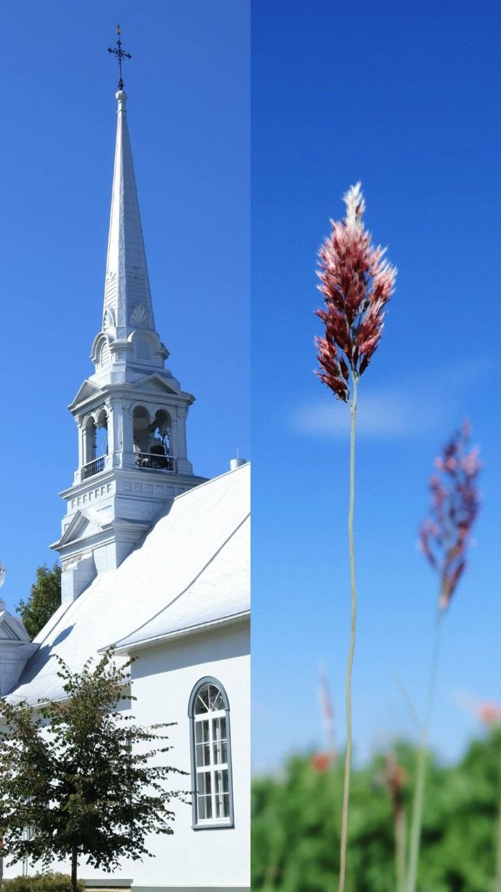 Марафон креативной фотографии. Vladimir Borele Photographer