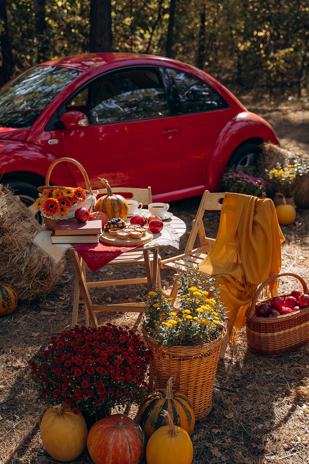 ОСЕННИЕ ДЕКОРАЦИИ (5, 6, 13, 20 октября)). Семейный и свадебный фотограф в Воронеже Майя Добровольская