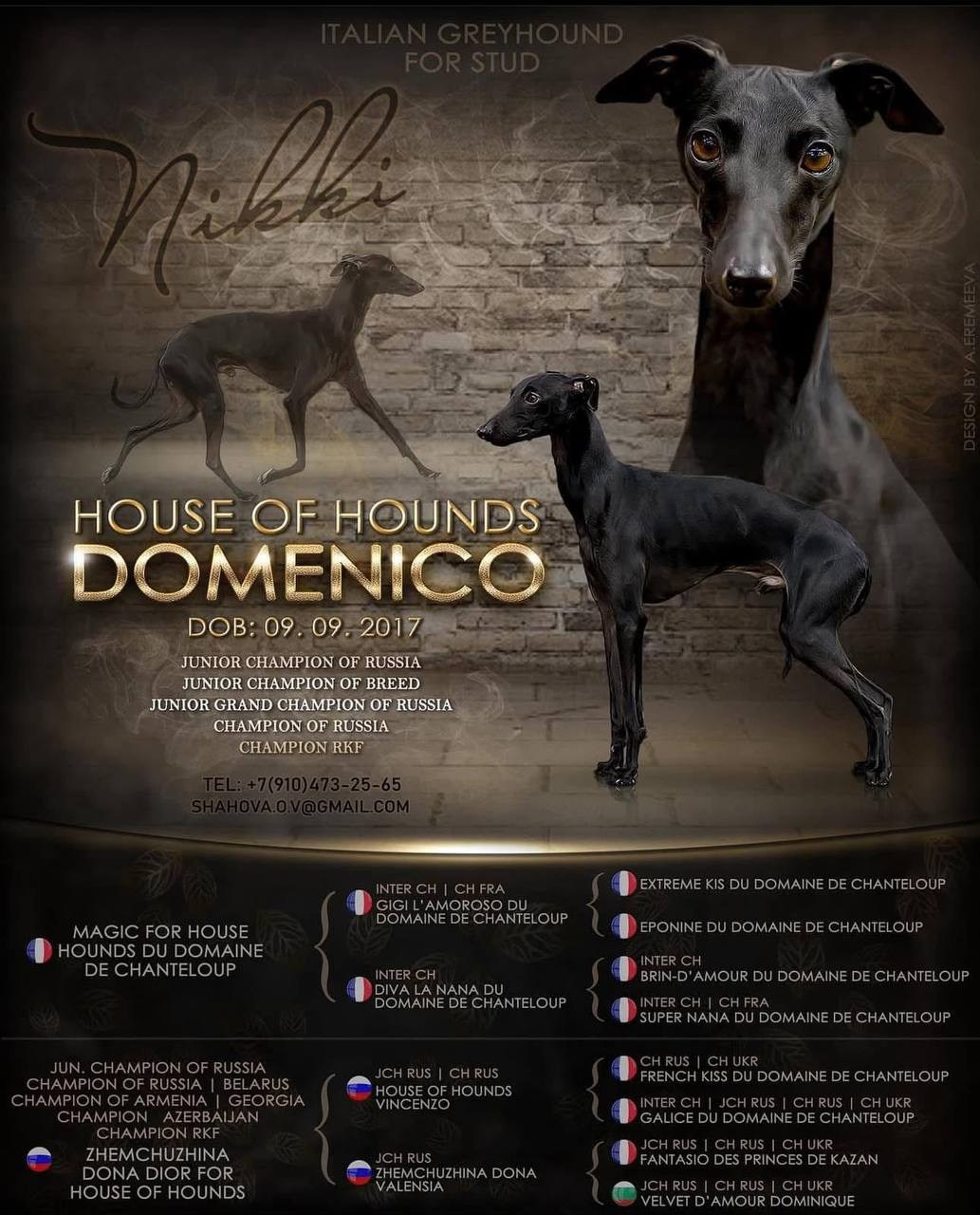 Итоги февраля. Профессиональный питомник левреток РКФ/FCI ASTI SAPPHIRE 💎 Сочи|Санкт-Петербург