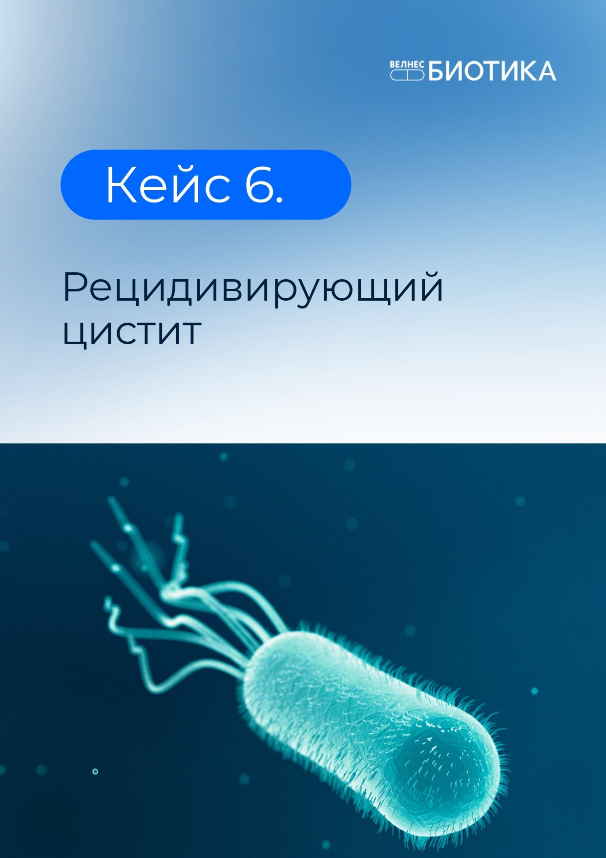 ВедаБиотика. Медицина с душой