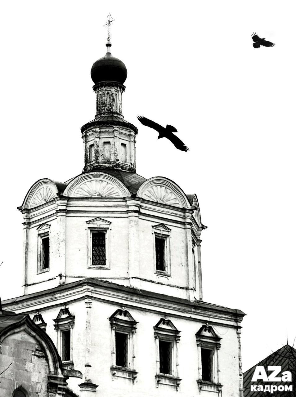 AZакадром Нижняя точка съемки. Женский семейный фотограф Тула Москва Захарова Анна