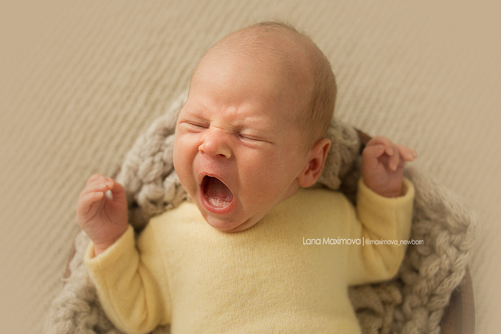 Лев 24 дня. Фотограф новорождённых малышей и детский фотограф В Казани Лана Максим