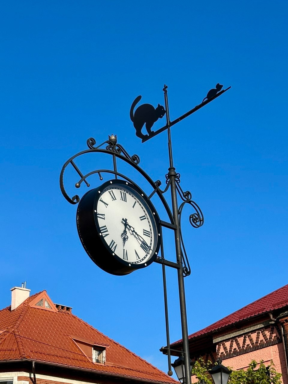 Фототур «Свет янтаря в сердце Балтики». Ольга Котова