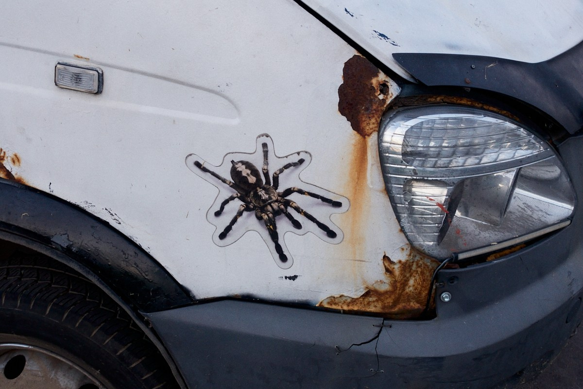 8-9/25. Иван Кобяков