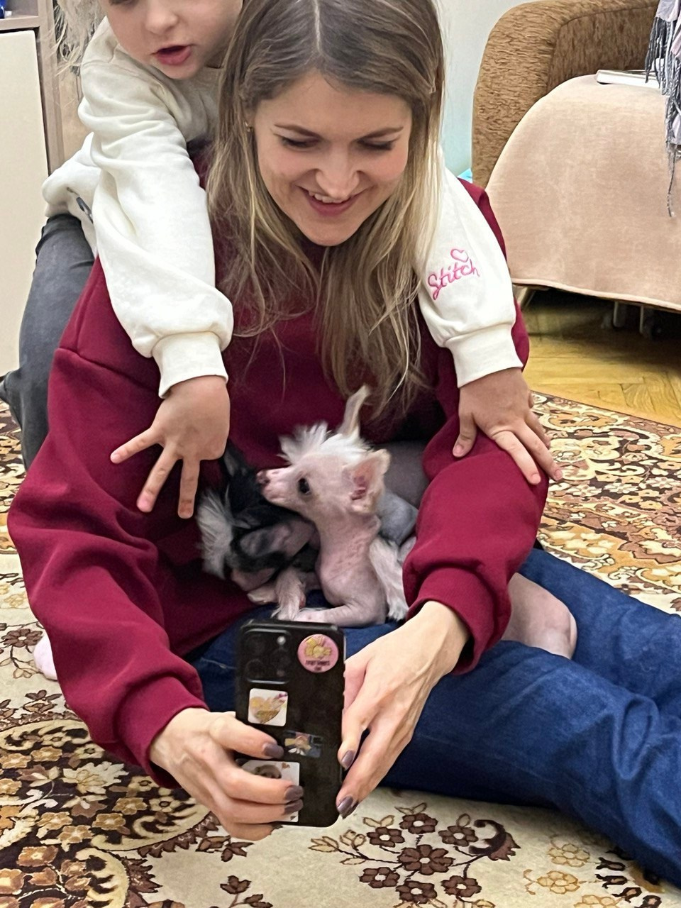 Дора и Доминика уехали домой. Питомник китайских хохлатых собак Poale Ell: купить щенка в питомнике