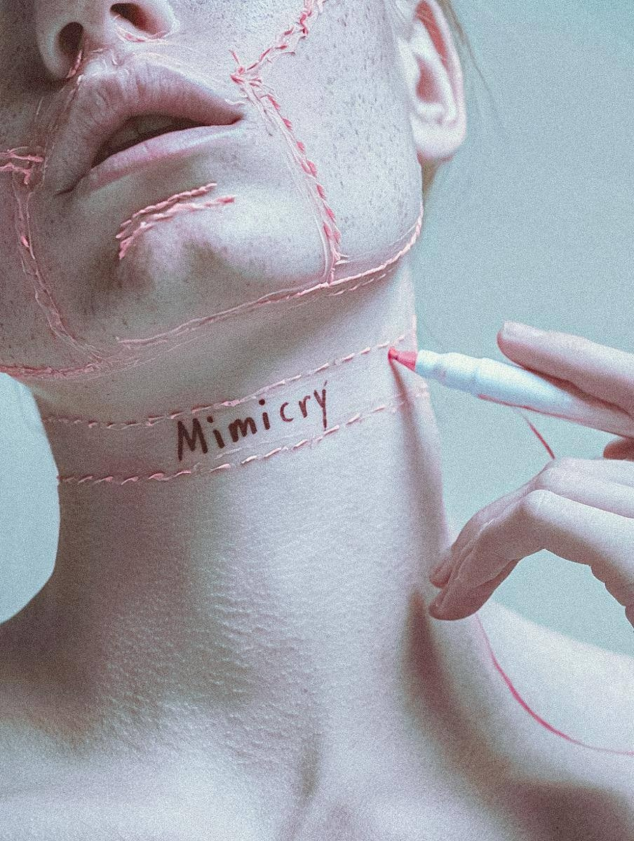 Mimicry. WAYS12