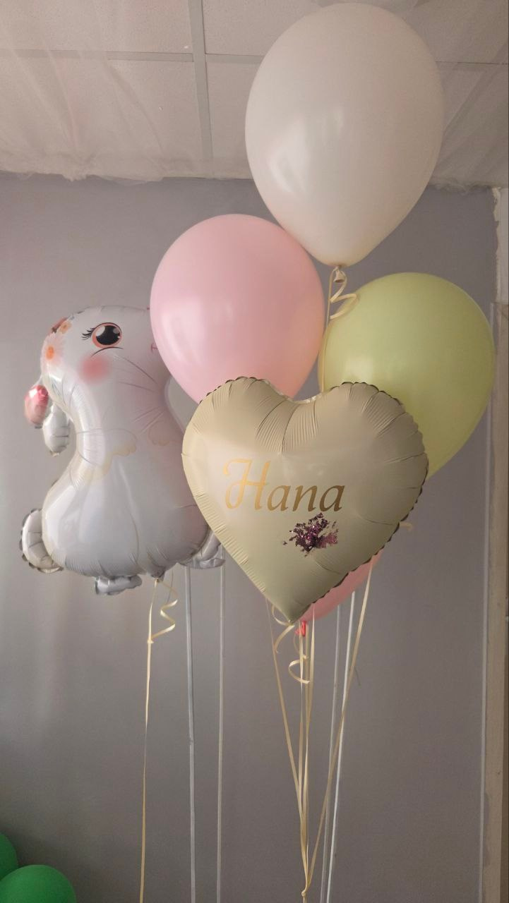 Balino prvi rodendan dostava balona Novi Sad dostava balonaBeograd. Шары с гелием, фотозоны Нови Сад Белград. Balone i dekoracije od balona Novi Sad Beograd