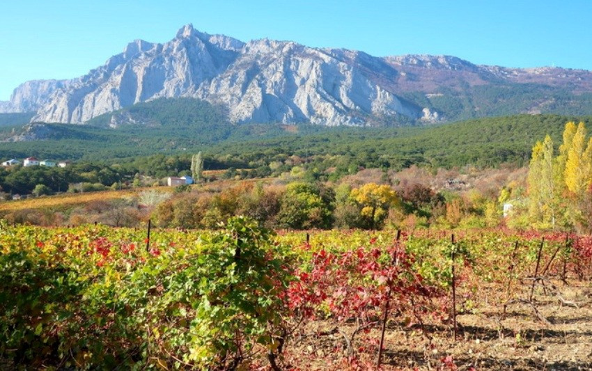 Локации для фотосессии в Ялте. Профессиональная фотосъемка в Крыму. Натуральные эмоции и живые кадры. Забронируйте дату прямо сейчас!