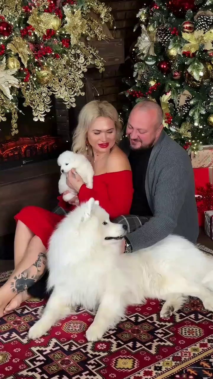 Фотостудия BERNINI, фотограф Светлана Круликовская. Самоед Новосибирск