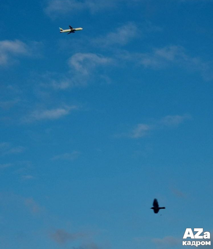 AZакадром Нижняя точка съемки. Женский семейный фотограф Тула Москва Захарова Анна
