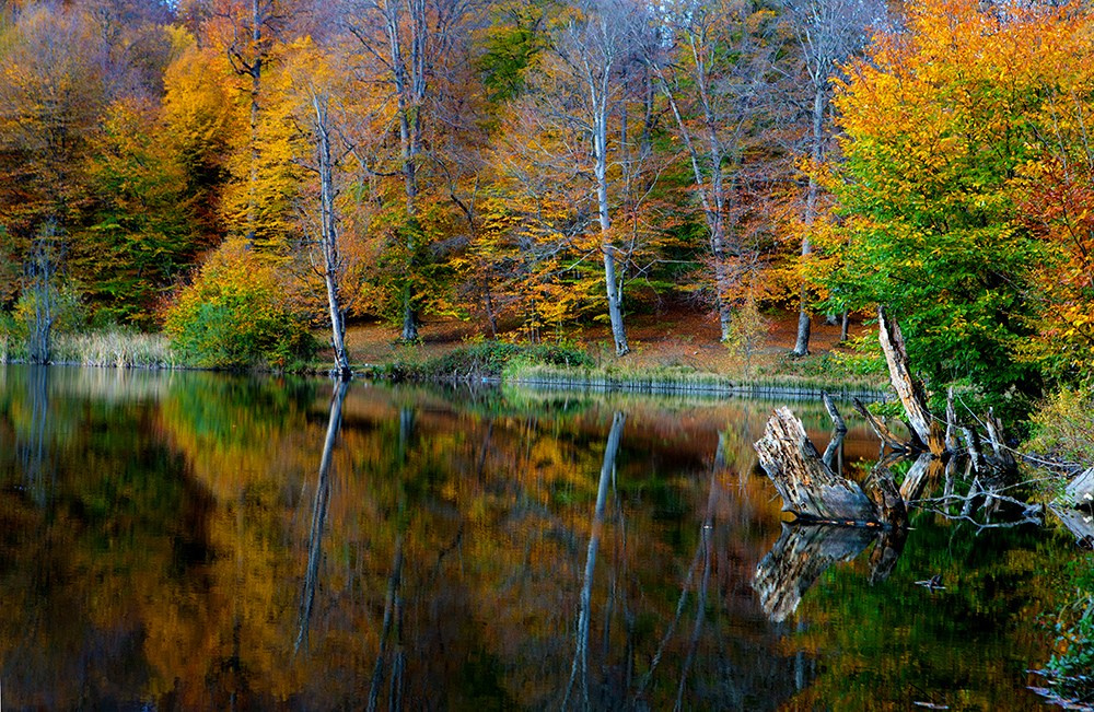 Осенняя Армения 2026 | Фотограф Дмитрий Купрацевич. Дмитрий Купрацевич профессиональный пейзажный и travel-фотограф