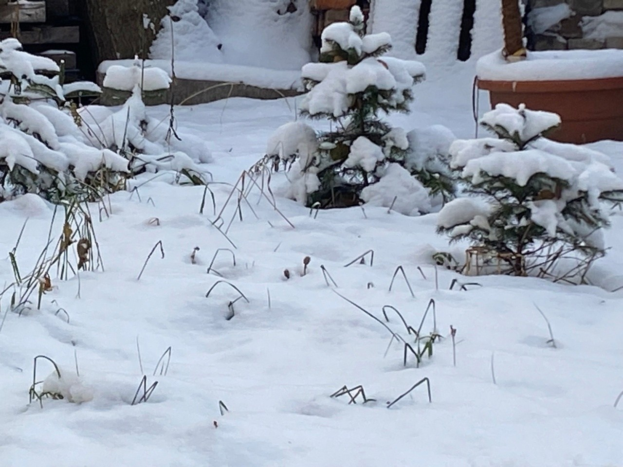 Новости. Дом Шрёдера