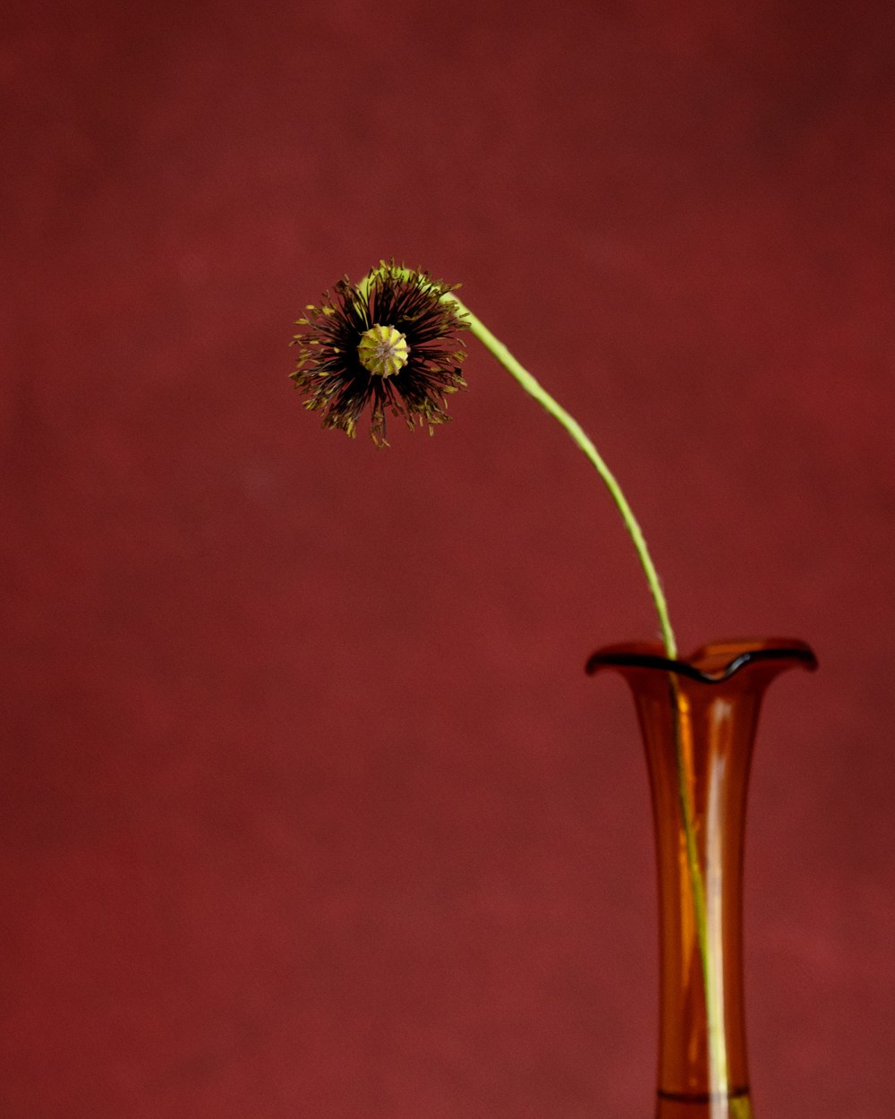 Ember. Author’s fine art prints with international delivery