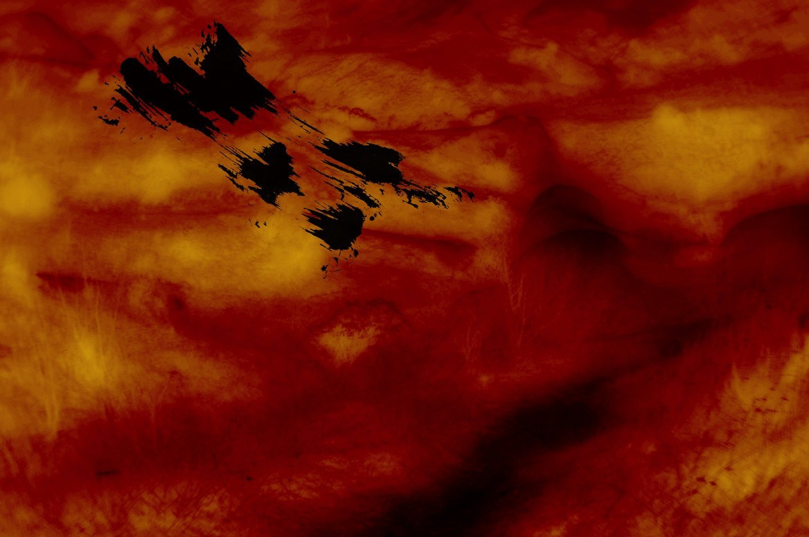 ФОТОГРАФИЯ. CONTEMPORARY ARTIST OLGA ANDRIYASH