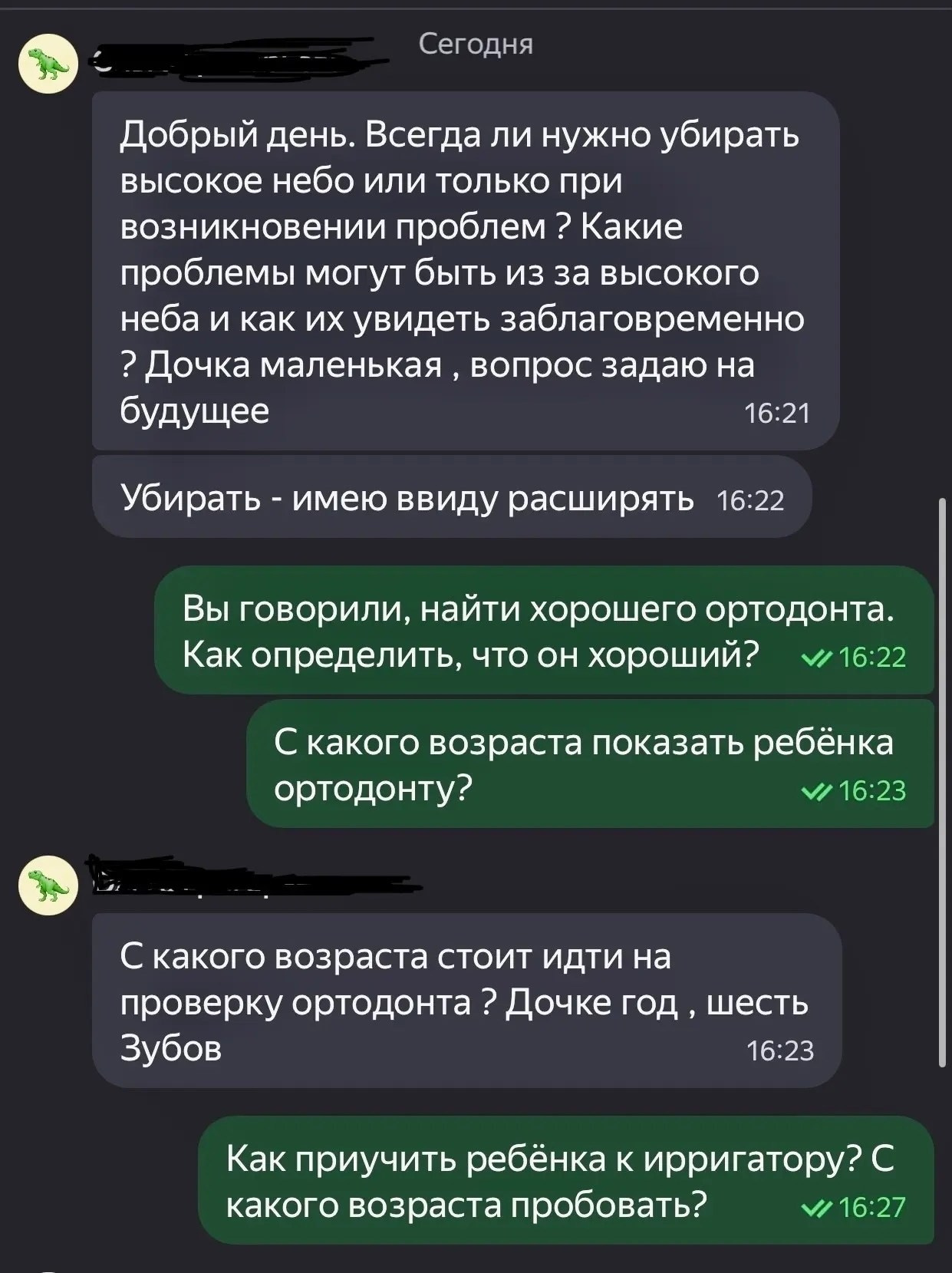 Видеовстреча со стоматологом. АНО «Центра социальных проектов «Путь в большой мир»
