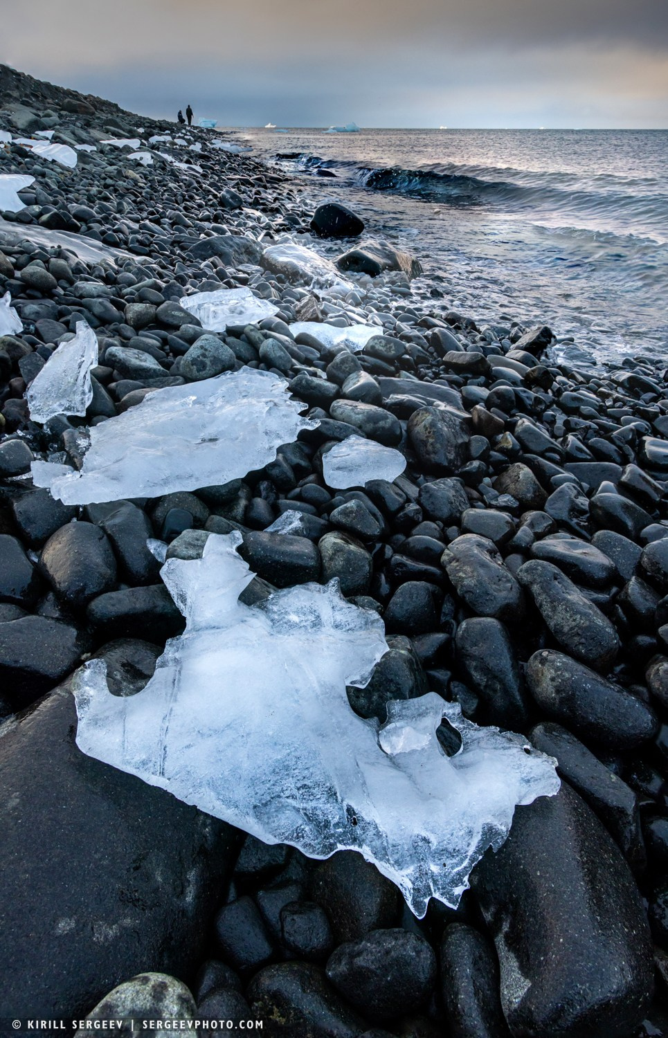 Арктическая одиссея. Фотограф Кирилл Сергеев | Москва