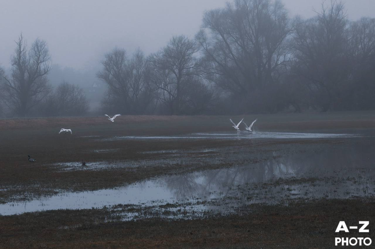 #ФОТОНЕДЕЛИ 16.03.2026. Женский семейный фотограф Тула Москва Захарова Анна