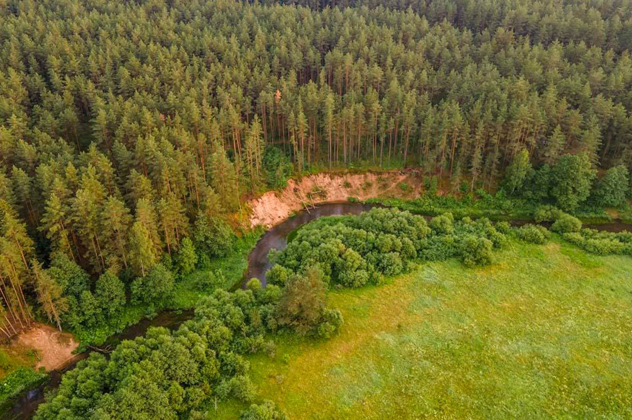 Охота в Беларуси