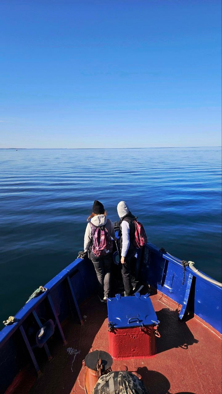 Занятия по рисунку, живописи и композиции. Изостудия «Мы рисуем!» ♥ Южное Бутово, Москва