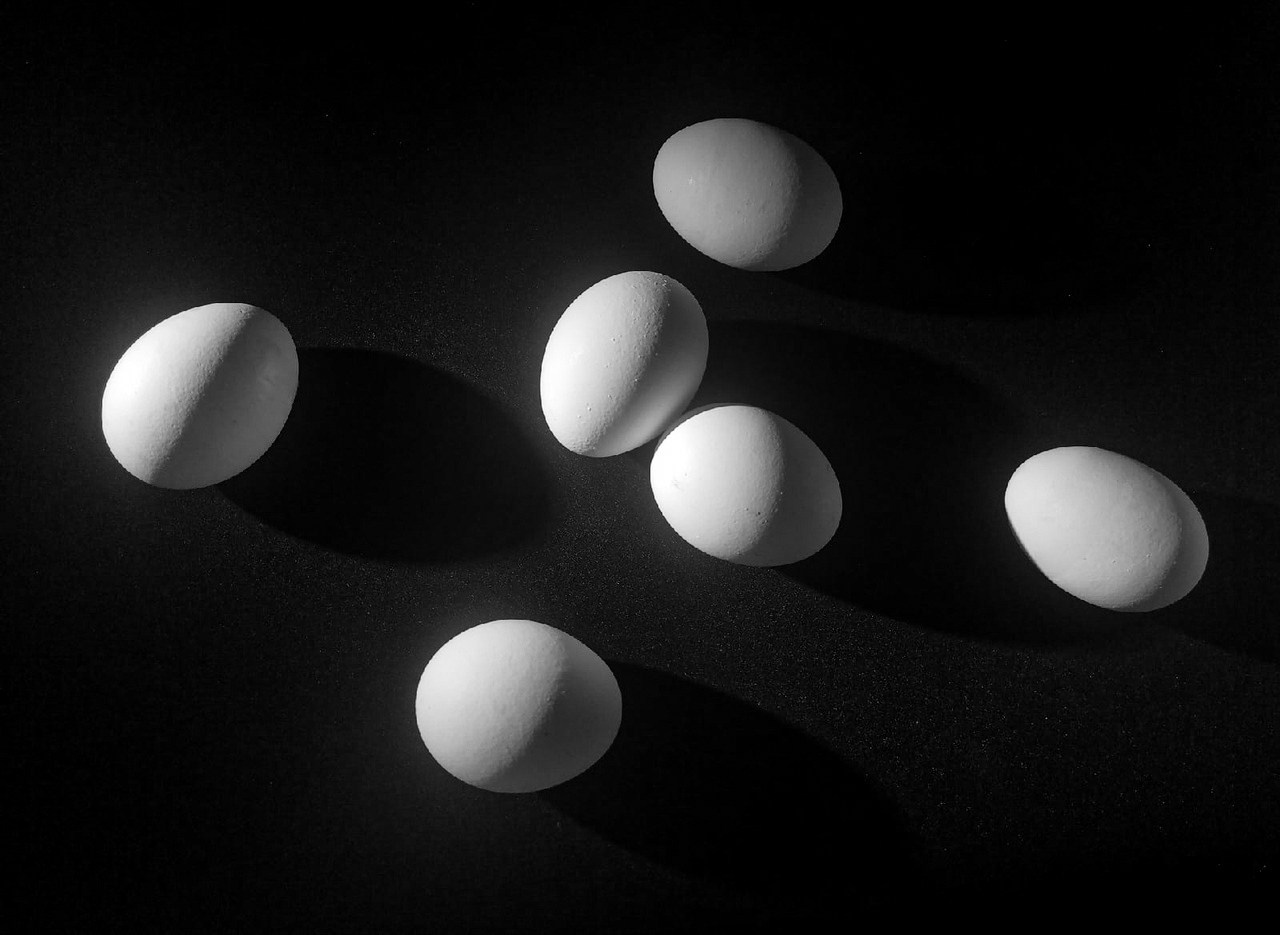 Курс «С нуля»