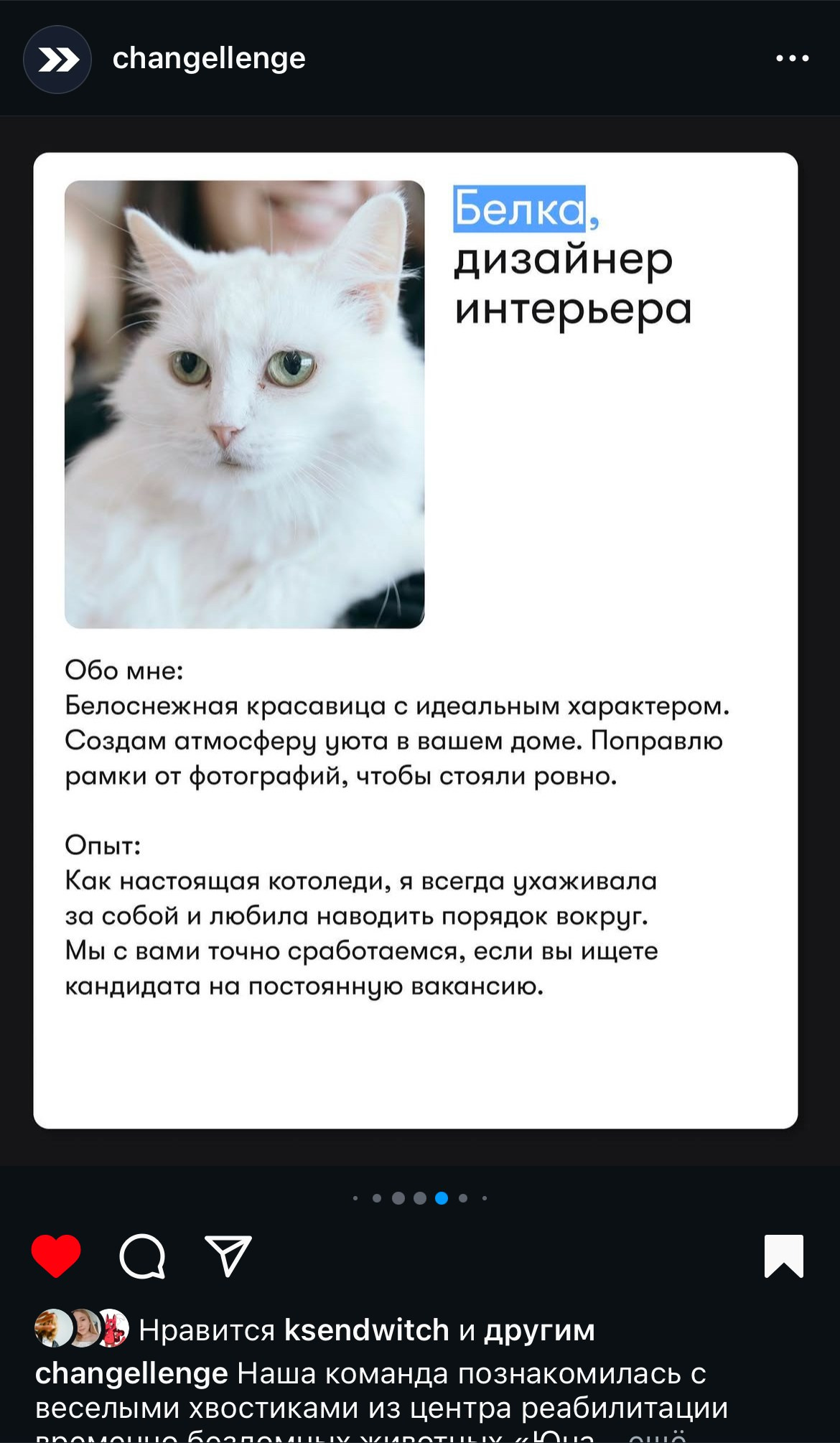 Бренды. Фотограф и коллажист Ольга Шереметьева