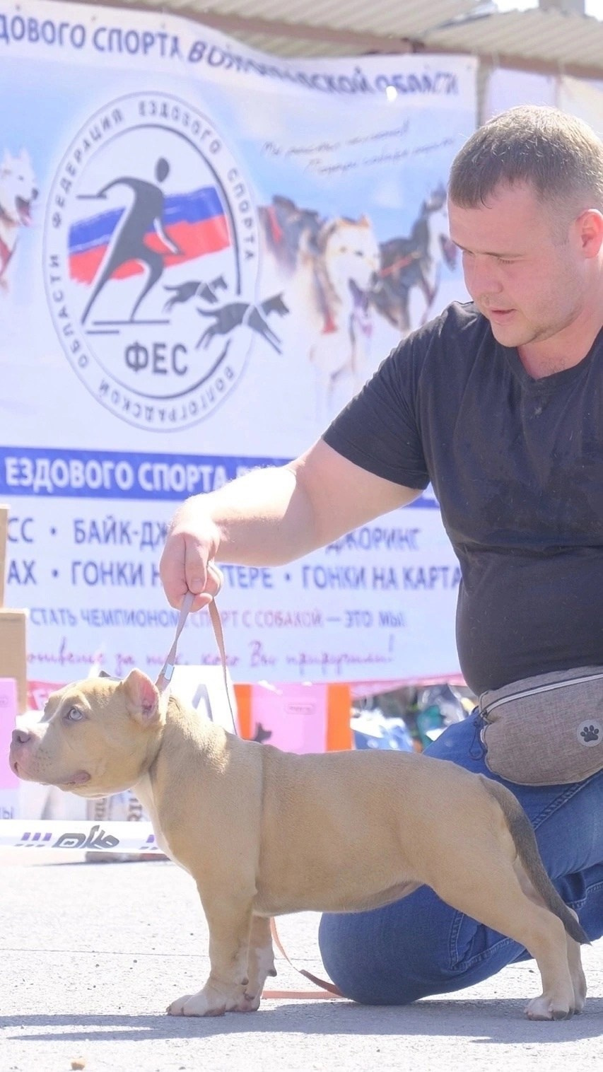 американский булли Юг, американский булли южный округ, лучшие американские булли на юге россии, топовые булли в россии, топовые американские булли в россии, ТОП булли, Топ американский булли, самые крутые американские булли, булли клаccик, булли покет, булли стандарт, булли экзот, булли xl, амeриканский булли, щенок булли, американский булли питомник, американский булли купить, американский булли щенок, американский булли москва, американский булли ростов-на-дону, американский булли краснодар, американский булли ставрополь, американский булли волгоград, американский булли семфирополь, американский булли ставрополь, американский булли сочи, американский булли воронеж, американский булли питер, американский булли санкт-петербург, американский булли Казань, американский булли Новосибирск, американский булли Челябинск, американский булли Ростов, американский булли Луганск, американский булли Донецк, американский булли покет, американский булли классик.американский булли ,американский булли щенки , американский булли купить ,американский булли фото , американский булли покет , собака американский булли , порода американский булли , американский булли цена , купить щенка американского булли ,американский булли характеристика , порода собак американский булли, питомник американских булли , американский булли отзывы, американский булли стандарт , американский булли отзывы владельцев, американский булли xl , россия американские булли , американские булли москва , американский булли вес , американский булли цена щенка, американский булли породы собак сша , американский булли размеры , американский булли классик , американский булли классика , американский булли характеристика породы , авито американский булли , сколько стоит американский булли , окрасы американских булли , американский булли виды , американский булли типы , американский булли цена в россии , американский булли экзот , американский булли микро , американский булли мини , собака американский булли фото , американский булли спб , американский булли характер , минусы американского булли , купить американского булли в москве , американские булли сколько щенков , плюсы американского булли , американский булли плюсы и минусы , взрослый американский булли , американский булли фото цена , американский булли фото щенков , американский булли крым , сколько живут американские булли , американский булли описание , американский булли купить авито , американский булли ростов , собачий питомник , питомник для собак , собаки , порода , щенки, щенок для детей, щенок для ребенка, щенок для семьи, собака для ребенка, питомник BULLY LOVERS, питомник THE POWER OF SIBERIA, питомник Ultimate Bully, питомник FORTIS FORTUNA VALIDI, питомник EXTREME BEAR, питомник American Dream, Питомник RUSSIAN BULLS, питомник ТАРУС & BULLY LAND, питомник Bully Ranch P&N, Питомник ANTREABULLS, питомник Ambully House, питомник Mar Nero, питомник Alfabulls, #micro #microbully #ambully #ambullys #ambullylife #ambullyforlife #ambullyworld #ambullylove #ambullylover #ambullylovers #ambullyloversfans #americanbullybreed #americanbullykennelclub #американскийбуллипитомник #bullies #bulliesallday #bulliesofig #bulliesofinsta #bulliesofinstagram #instabullies #bullieslife #bullymag #americanbully_feature #americanbullydog #tribullies #americanbullyblue #americanbullytricolor #bullystick #americanbullyStud, американский булли,американский булли щенки,американский булли купить,американский булли покет,американский булли фото,собака американский булли,порода американский булли,американский булли цена,американский булли купить щенка,американский булли характеристика,порода собак американский булли,американский булли отзывы,питомник американских булли,американский булли стандарт,американский булли отзывы владельцев,россия американские булли,американский булли виды,американский булли цена щенка,сколько стоит американский булли,американский булли цена в россии,американские булли москва,американский булли xl,американский булли размеры,типы американских булли,американский булли мини,американский булли вес,авито американский булли,американский булли породы собак сша,американский булли микро,американский булли характеристика породы,американский булли экзот,американский булли классик,американский булли классика,собака американский булли фото,американский булли характер,минусы американского булли,американские булли спб,американский булли окрасы,американский булли купить в москве,американские булли сколько щенков,плюсы американского булли,американский булли видео,американский булли плюсы и минусы,американский булли щенок фото,взрослый американский булли,американский булли девочка,американский булли описание,сколько живут американские булли,американский булли покет купить,американский булли крым,american bully,american bully ru,american bully ru shchenki,https american bully ru,https american bully ru shchenki,american bully xl,american bully питомник,american bully dog,american bully kennel,american dream bully,american bully pocket,american bully kennel club,all american bully фильм смотреть,american bully xxl,reddit american bully,american bully ru shchenki html,american bully wise,celina innovations crochet american bully part,https american bully ru shchenki html,american bully classic,питомник американских булли,питомник собак американский булли,питомник американских булли в крыму,питомник собак в крыму американские булли,питомник в крыму американский булли последние,питомник американских булли в москве,американские булли купить питомник,питомник американских булли в россии,питомник американских булли покеткупить щенка американский булли питомник,американские булли цена питомники,питомник американских булли в спб,питомник американских булли яна,купить американского булли в москве питомник,питомник американских булли в москве и московской,официальные питомники американских булли,крым питомник американских булли яна,булли американский купить питомник цена,москва и область питомники американских булли,питомник американских булли яна и гоша,американские булли подмосковья питомник,американский булли стандарт питомник,питомник американских булли екатеринбург,питомник американских булли ростов,лучшие питомники американских булли,питомник собак крым американский булли яна,яна питомник собак американский булли,американский булли купить в спб питомник,американский булли питомник львиное сердце уфа,американский булли питомник львиное сердце уфа вк,американский булли лучший питомник россии,американский булли питомник краснодар,американский булли купить спб щенка питомник,американский булли покет питомник москва,американский булли сайт питомник,питомник американский булли официальный сайт,питомник американских булли в челябинске,питомники американских булли в россии список лучших,питомник собак американских булли серпухов,питомник собак дзен американский булли,американский булли xl питомник,питомник американских булли в талдоме,питомник и цена американ американский булли,фаворит гигант питомник американских булли,американский булли купить,американский булли купить щенка,американский булли купить в москве,американский булли покет купить,американский булли купить щенка в москве,американский булли купить авито,купить американский булли цена,купить американского булли в спб,купить собаку американский булли,американский булли купить щенка цена,американский булли покет купить щенка,американский булли купить в беларуси,американский булли стандарт купить,американский булли купить москва московская область,купить американского булли в россии,купить американского булли в московской области,американский булли купить в екатеринбурге,американский булли купить в новосибирске,американский булли купить щенка в спб,