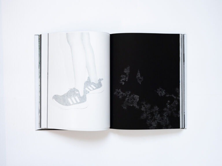 ИНТЕРВЬЮ С АВТОРАМИ: MOE SUZUKI. Самоорганизация Низина