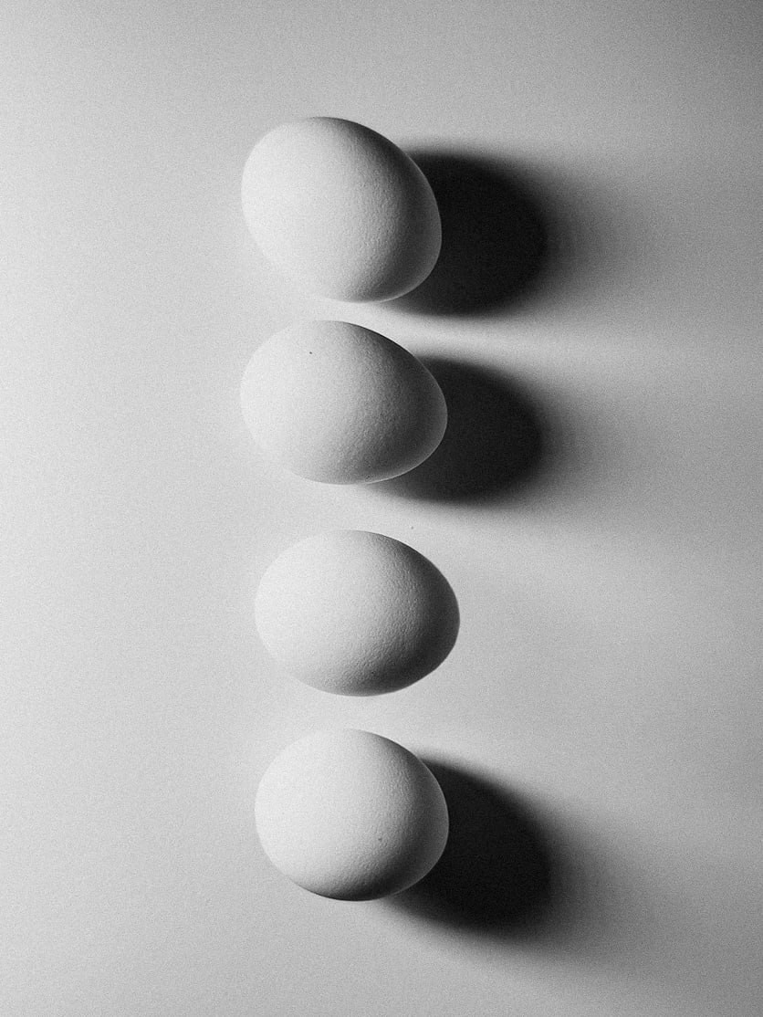 Фотолагерь для фотографов и не только. ARTDARY | Фотограф Дарья Грицай