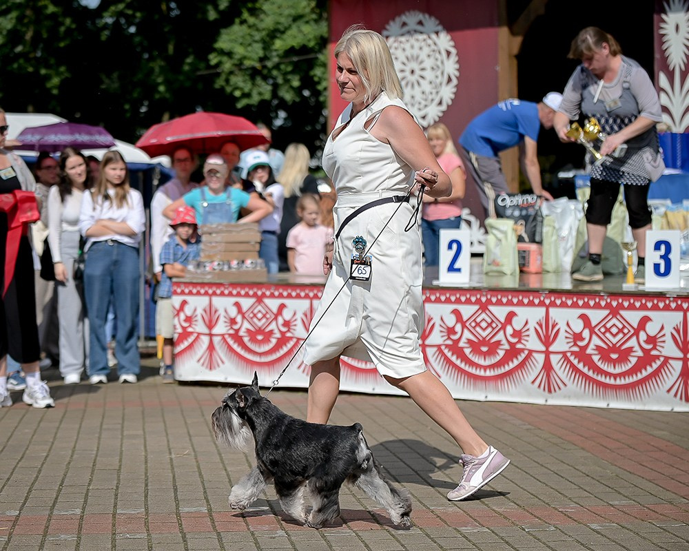 Делинсо Бэлэнс