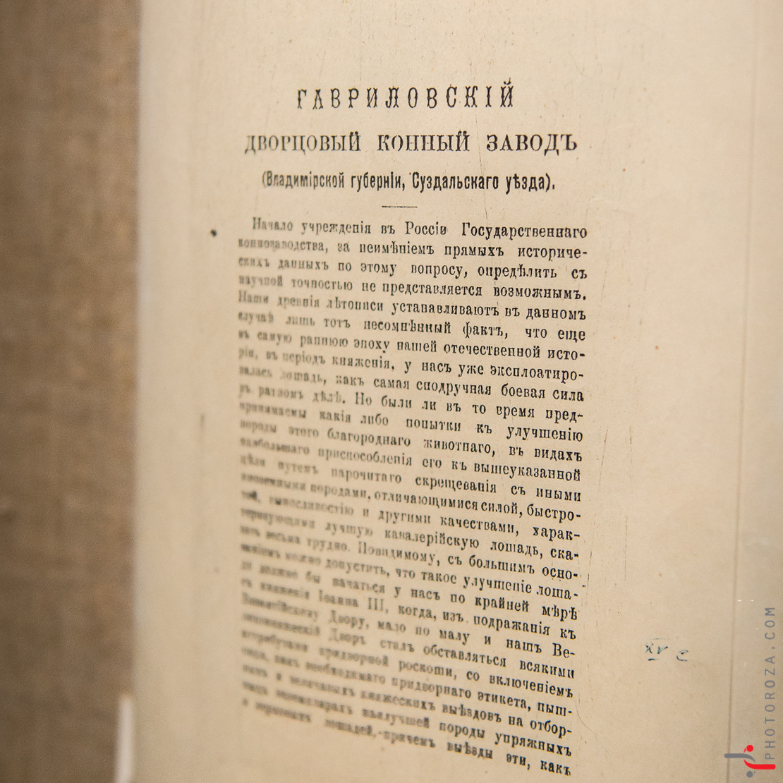 Ивановская обл. Гаврилов Посад. Юлия Розанова, коммерческий фоторепортаж в Москве